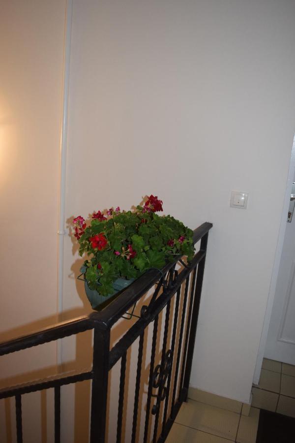 Nadja Apartment Novi Sad Exterior photo